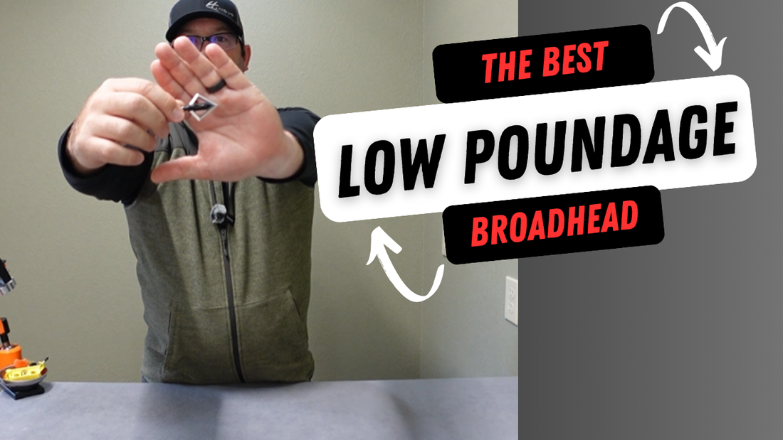 Best broadhead options for youth archers and low poundage compound bows including Magnus Stinger and Black Hornet