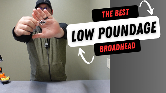 Best broadhead options for youth archers and low poundage compound bows including Magnus Stinger and Black Hornet