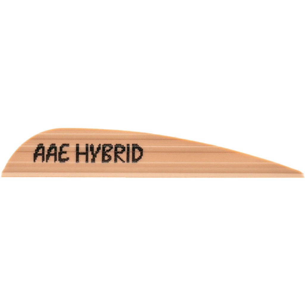 AAE Hybrid 23
