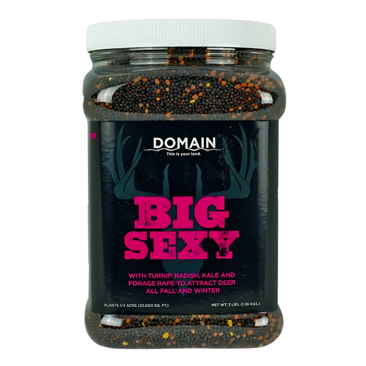 Big Sexy™