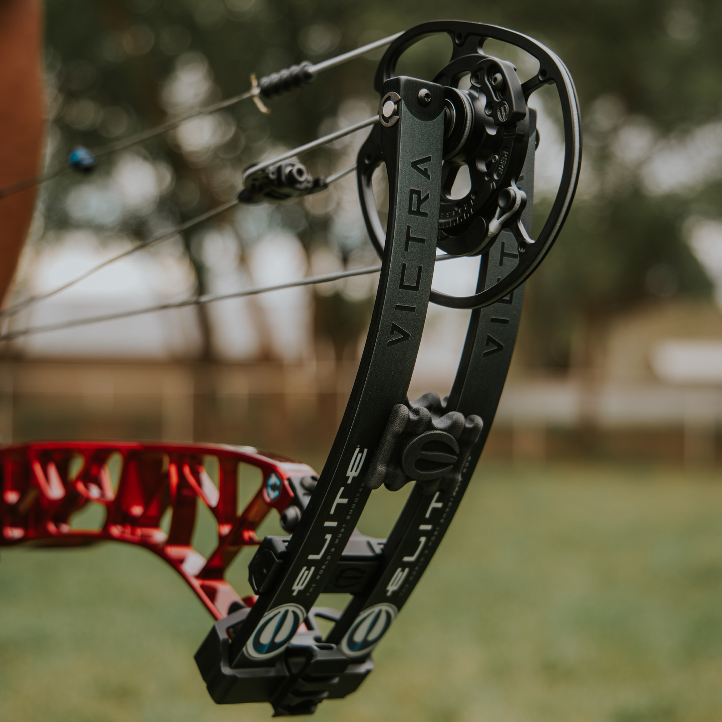 Elite VICTRA (In-Store Pickup Only)