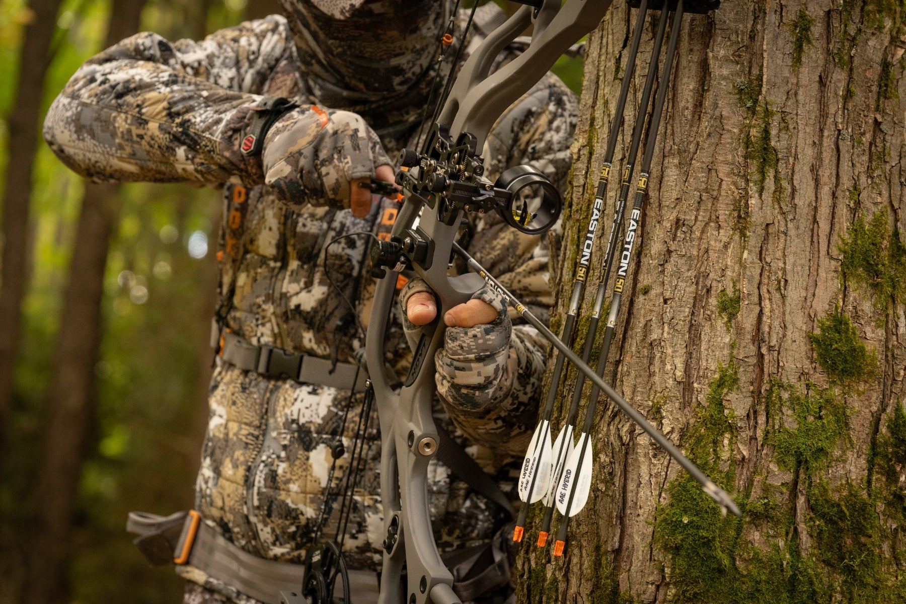 Bow hunter aiming Hoyt Carbon compound bow with Easton 5.0 arrows during deer hunting season